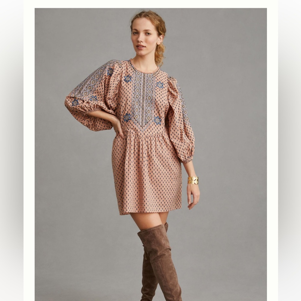 Anthropologie embroidered tunic mini dress XS